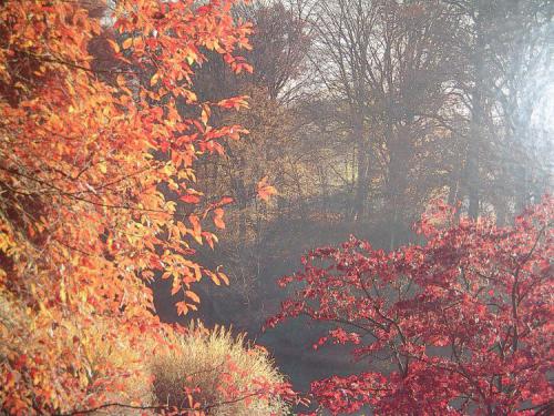 Teds-Picks-1.11.2005-006