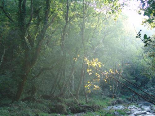 Teds-Picks-31.10.2005-067