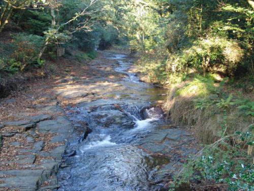 Teds-Picks-31.10.2005-116