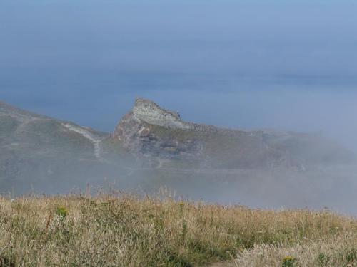 Teds-picks-20.07.2005-191