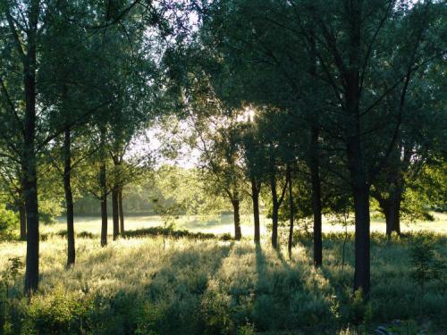 Teds-picks-20.07.2005-218