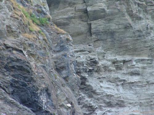 Teds-picks-22.07.2005.-049