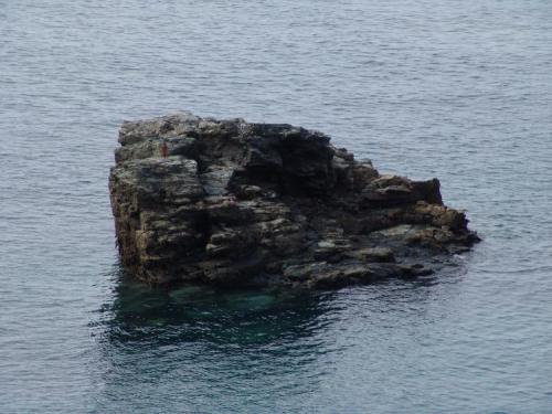 Teds-picks-22.07.2005.-050