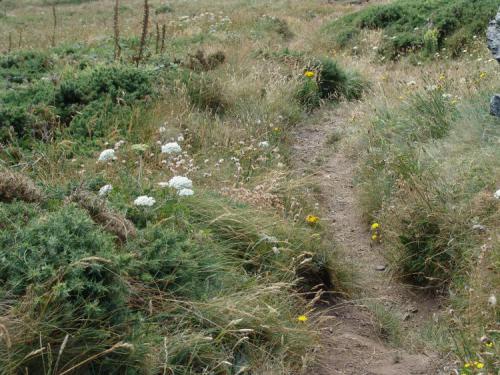 Teds-picks-22.07.2005.-064