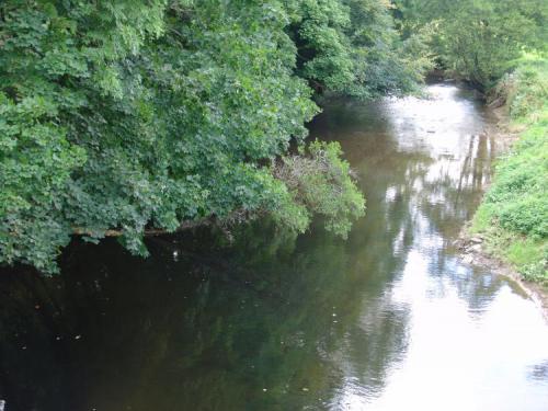 Teds-picks29.08.2005.-100