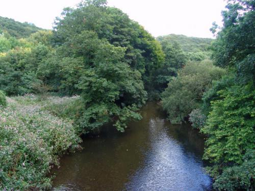 Teds-picks29.08.2005.-101